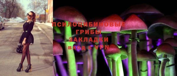 метадон Арсеньев