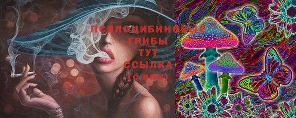 крисы Аркадак