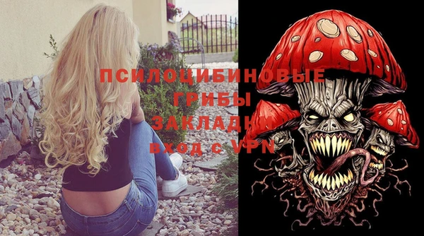 метадон Арсеньев