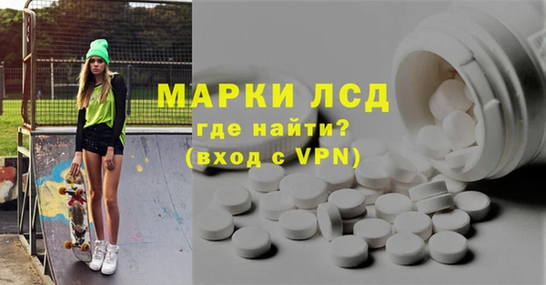 индика Северская